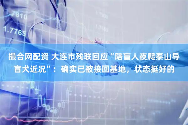 撮合网配资 大连市残联回应“陪盲人夜爬泰山导盲犬近况”：确实已被接回基地，状态挺好的