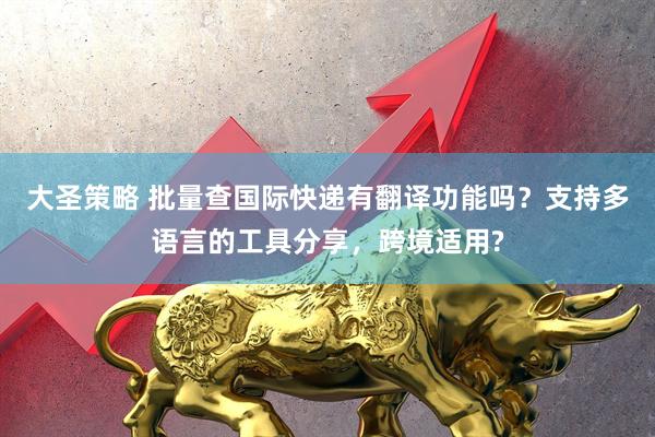 大圣策略 批量查国际快递有翻译功能吗？支持多语言的工具分享，跨境适用?