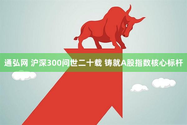 通弘网 沪深300问世二十载 铸就A股指数核心标杆